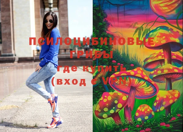 эйфоретик Козловка