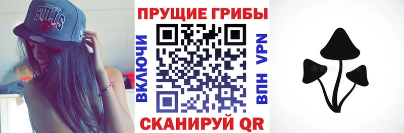 Купить  Боготол  Галлюциногенные грибы Cubensis 